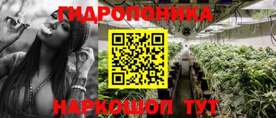 метадон Можга