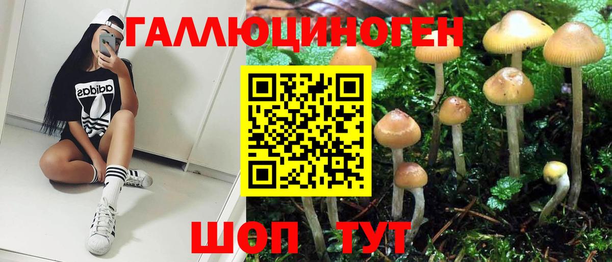 Алапаевск  Галлюциногенные грибы мицелий  Вход с VPN 
